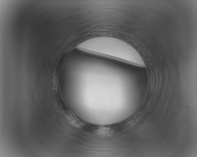 X0000073700609200608031016