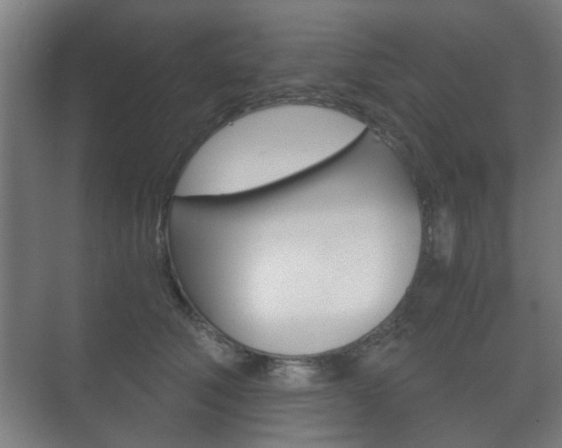 X0000073700610200608031016