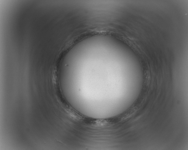 X0000073700612200608031016