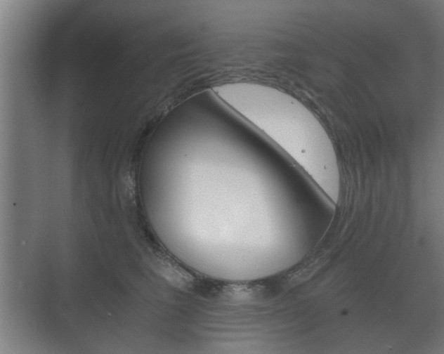 X0000073700613200608031016