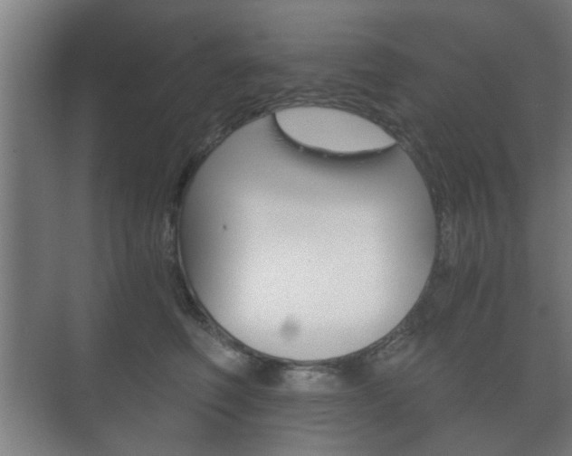 X0000073700614200608031016