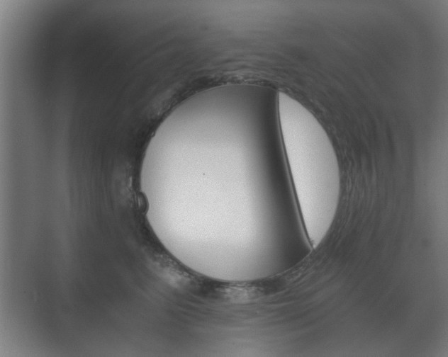 X0000073700615200608031016