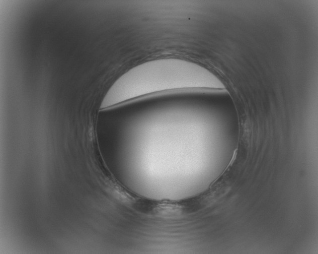 X0000073700617200608031016