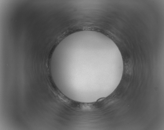 X0000073700618200608031016