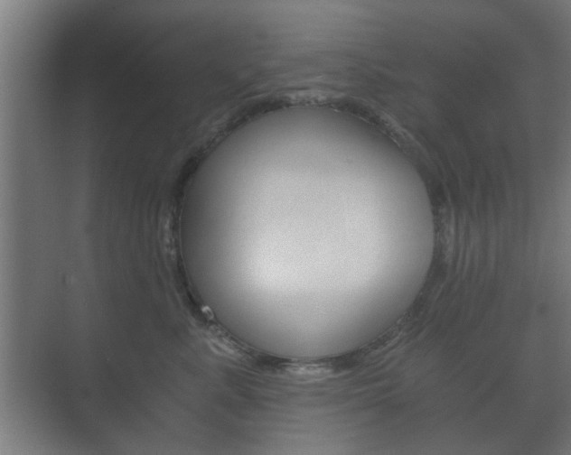 X0000073700619200608031016