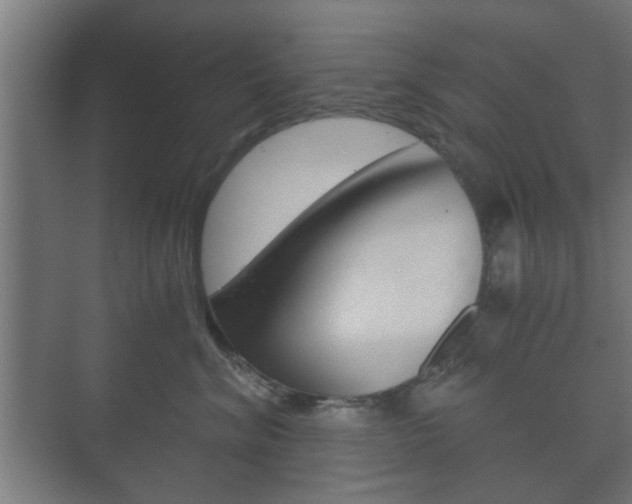 X0000073700620200608031016