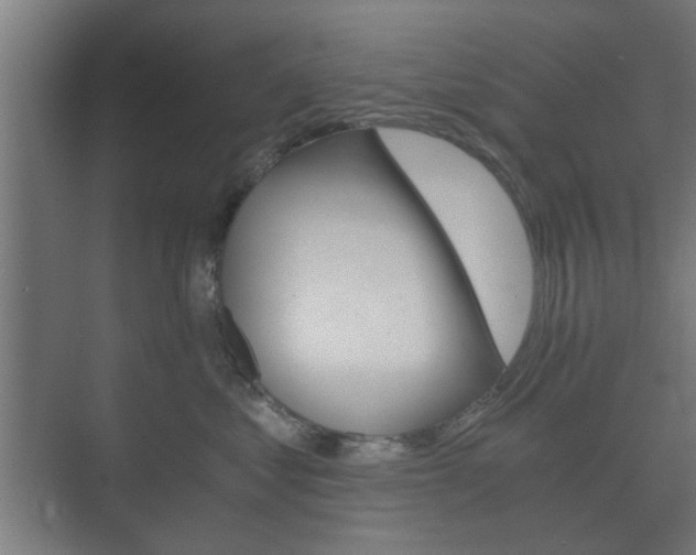 X0000073700621200608031016