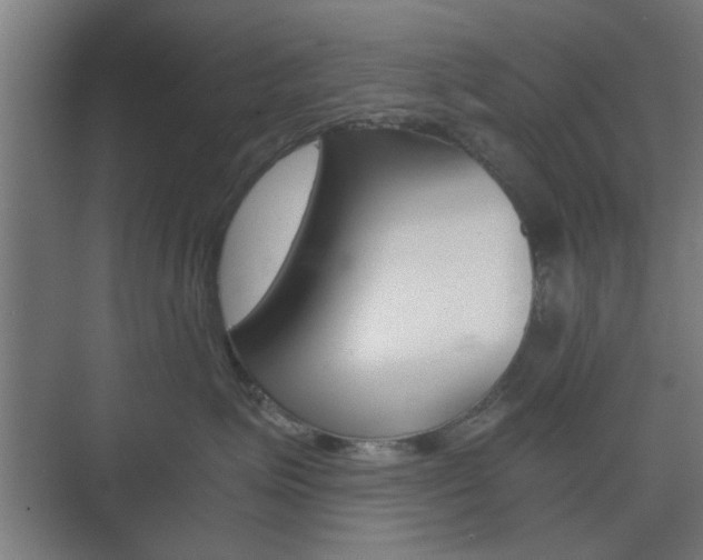 X0000073700623200608031016