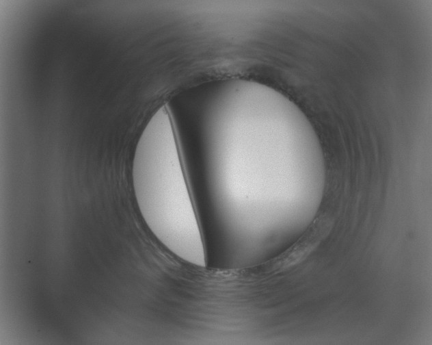 X0000073700624200608031016