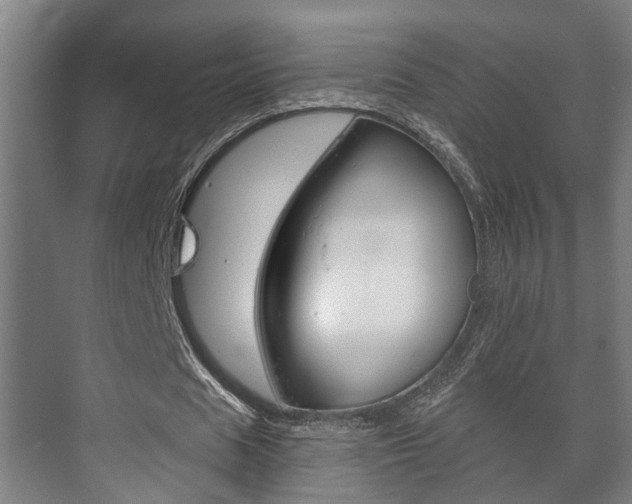 X0000073700625200608031015