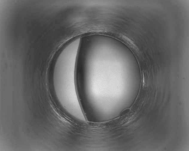 X0000073700627200608031015