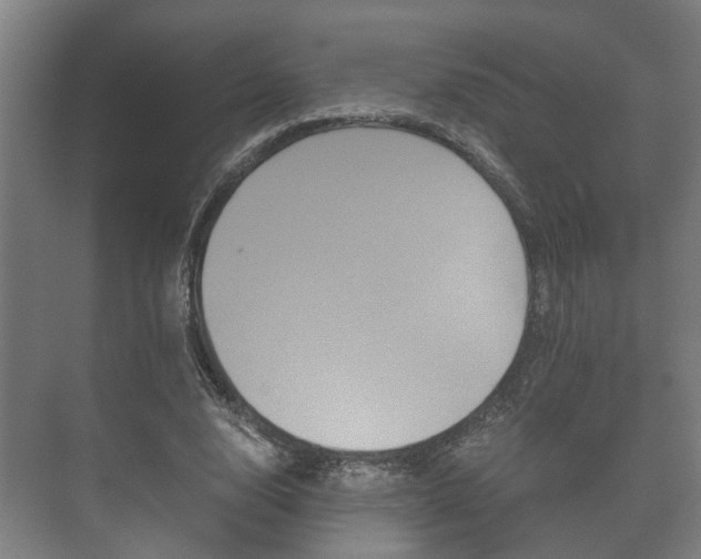 X0000073700632200608031015