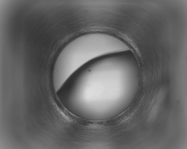 X0000073700633200608031015