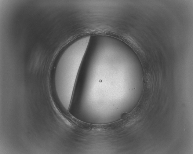 X0000073700634200608031015