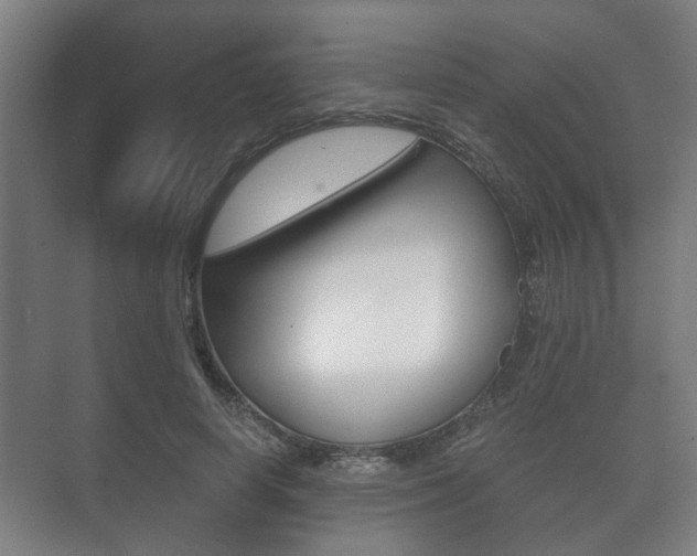 X0000073700642200608031015