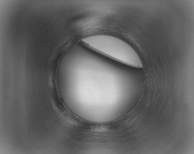 X0000073700643200608031016