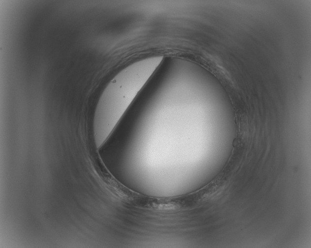 X0000073700645200608031016