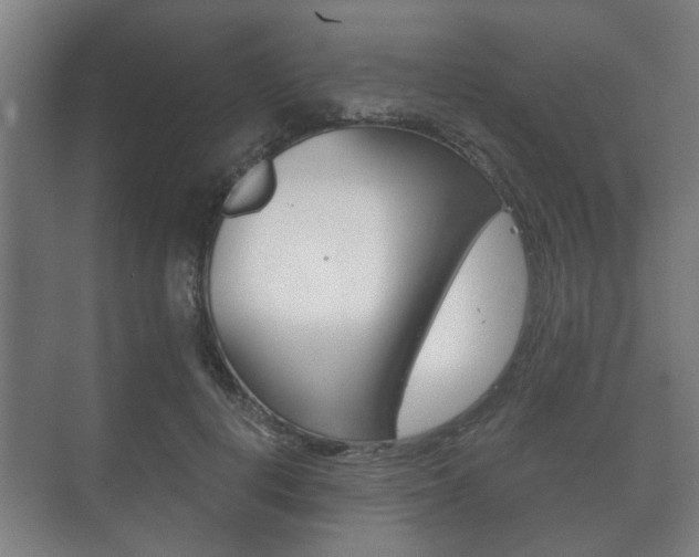 X0000073700648200608031016