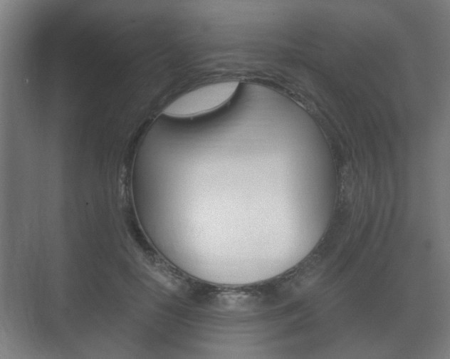 X0000073700650200608031016