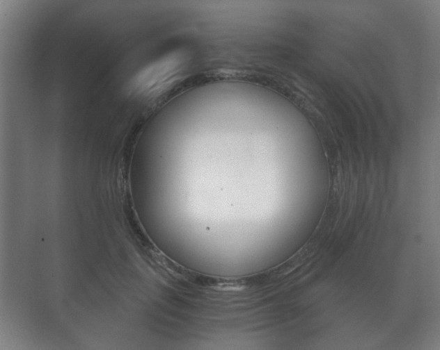 X0000073700651200608031016