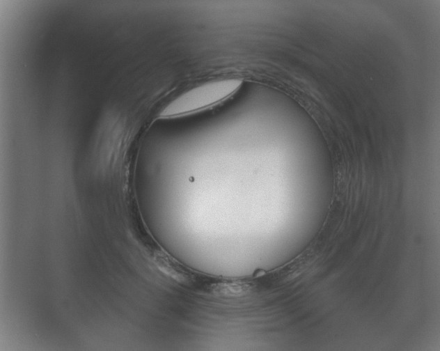 X0000073700652200608031016