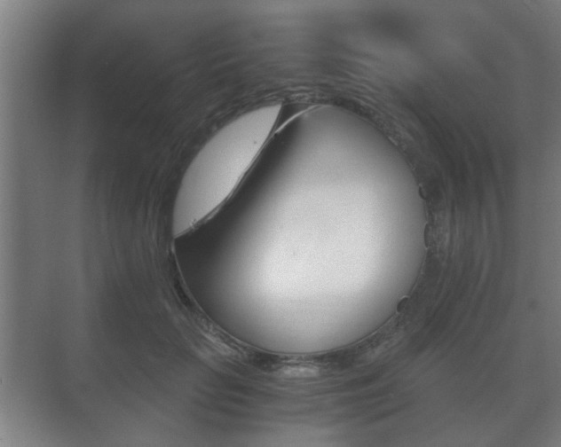 X0000073700653200608031016