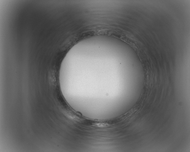 X0000073700654200608031016