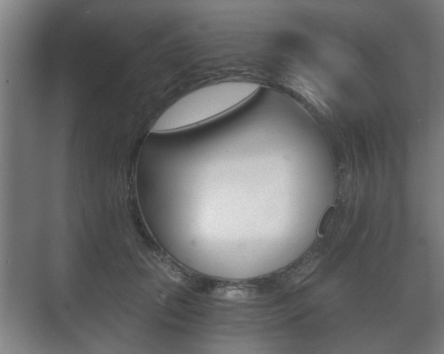 X0000073700655200608031016