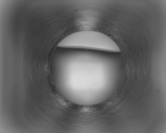 X0000073700657200608031016