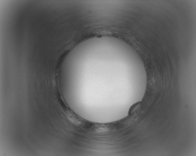 X0000073700658200608031016