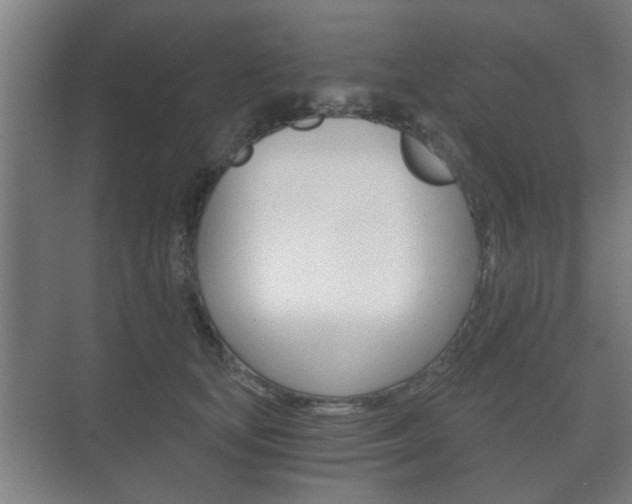 X0000073700659200608031016