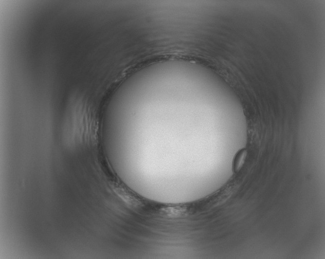 X0000073700660200608031016