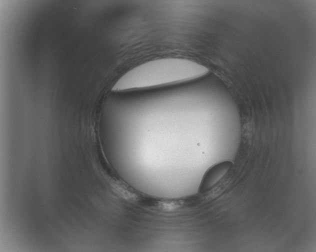 X0000073700662200608031016