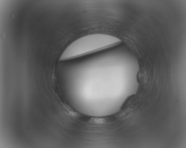 X0000073700665200608031016