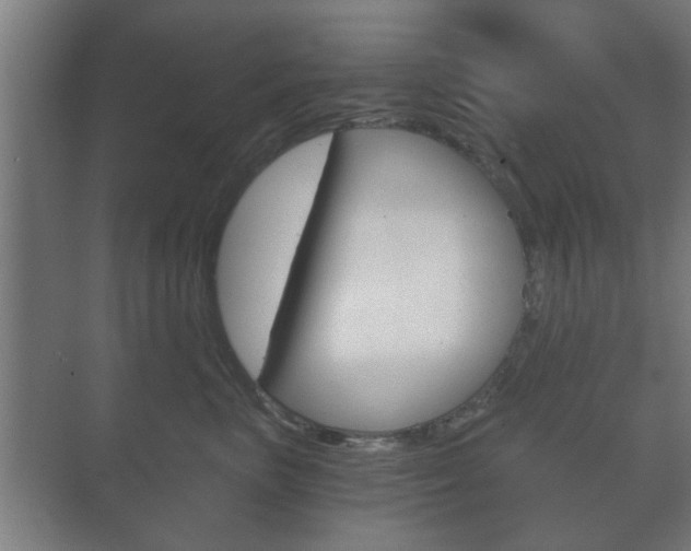 X0000073700667200608031016