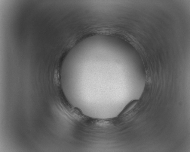 X0000073700669200608031016