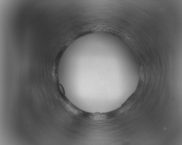 X0000073700670200608031016