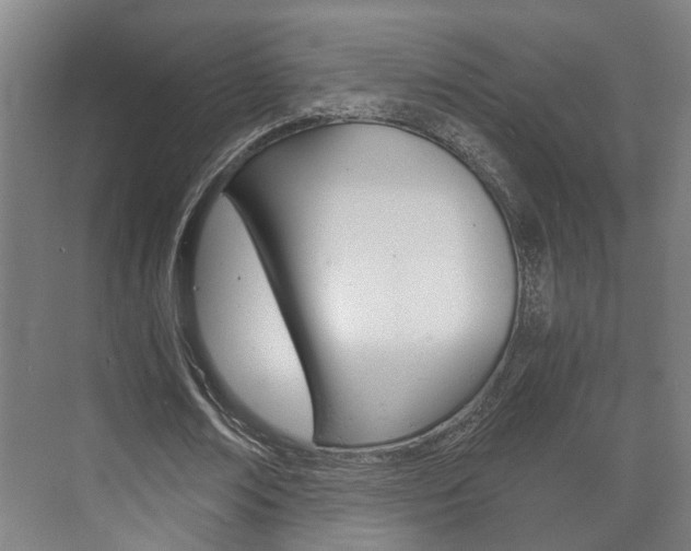 X0000073700674200608031015