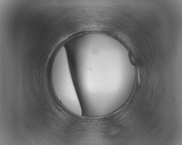 X0000073700675200608031015