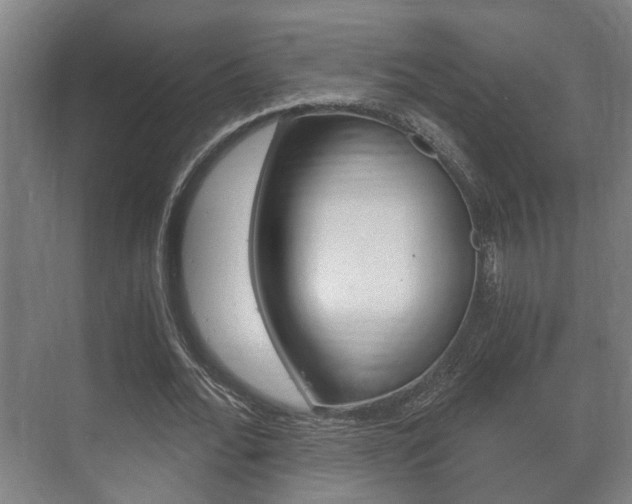 X0000073700676200608031015