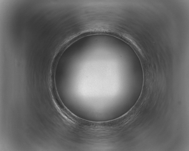 X0000073700677200608031015