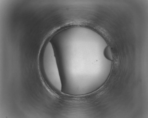 X0000073700678200608031015