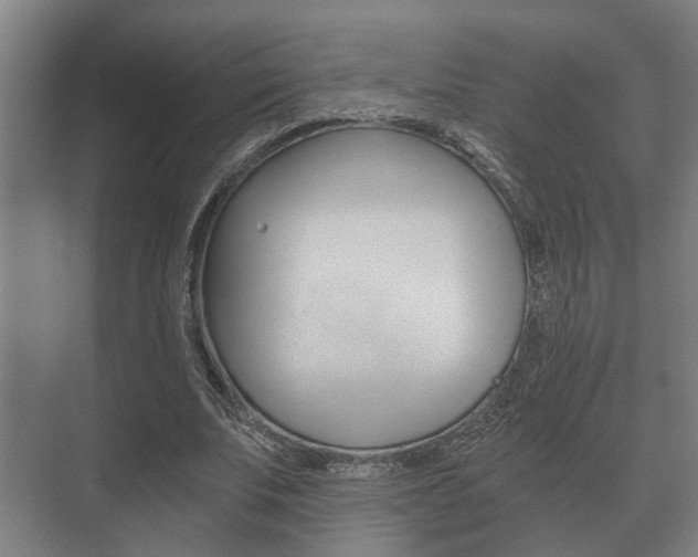 X0000073700679200608031015