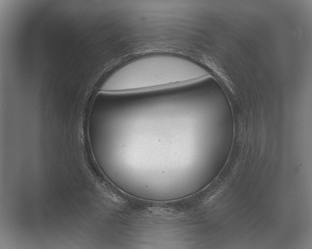 X0000073700681200608031015