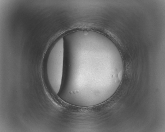 X0000073700682200608031015