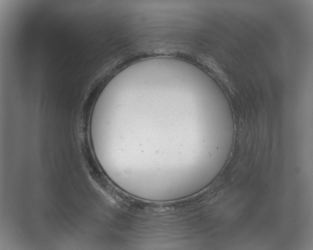 X0000073700683200608031015