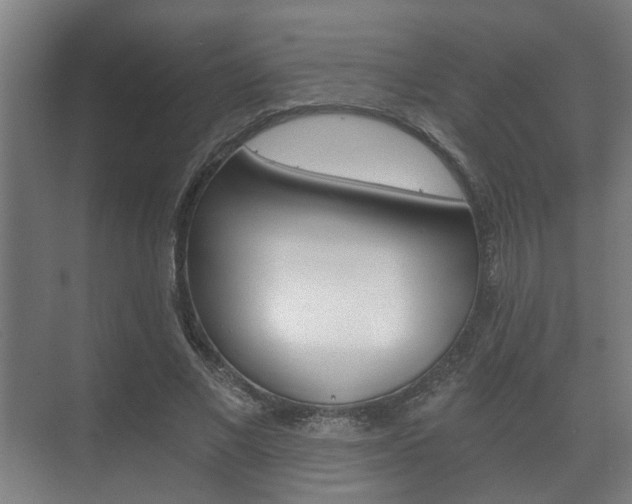 X0000073700685200608031015