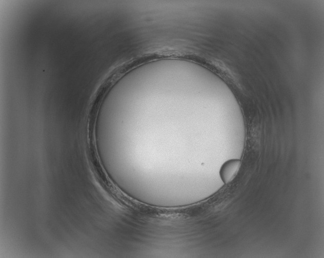 X0000073700686200608031015