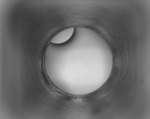 X0000073700687200608031015