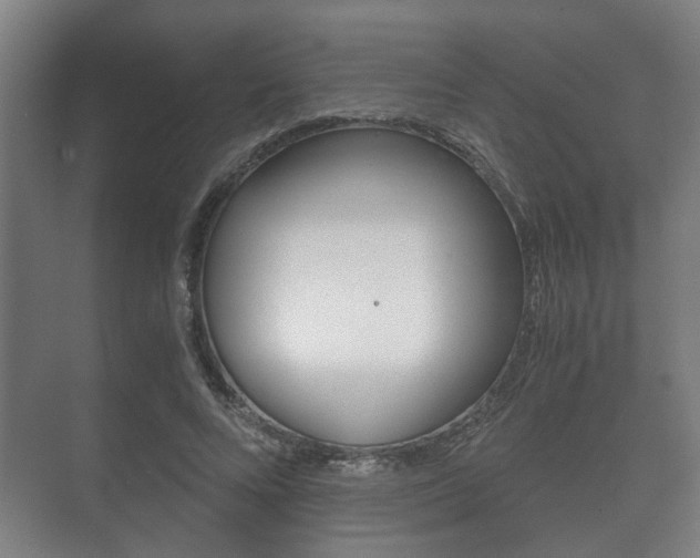 X0000073700688200608031015